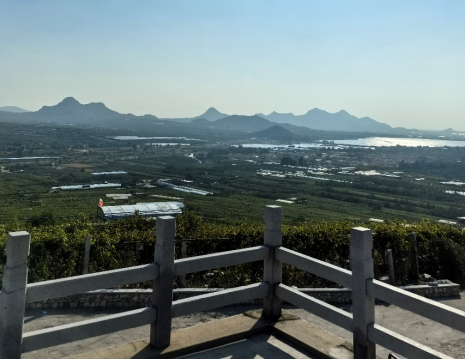 平度大澤山葡萄園引進(jìn)萊恩德土壤肥料檢測儀， 輕松掌握土壤營養(yǎng)